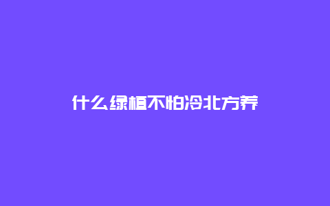 什么绿植不怕冷北方养