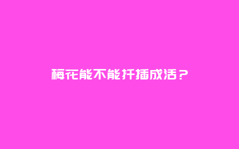 梅花能不能扦插成活？