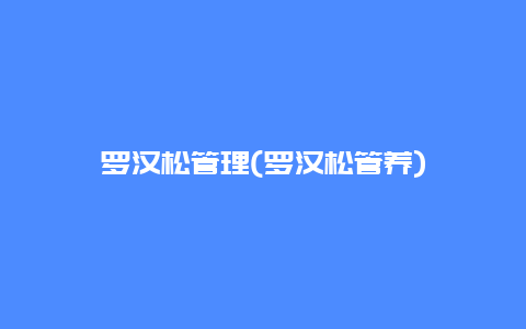 罗汉松管理(罗汉松管养)