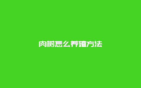 肉树怎么养殖方法