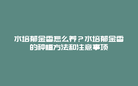 水培郁金香怎么养？水培郁金香的种植方法和注意事项