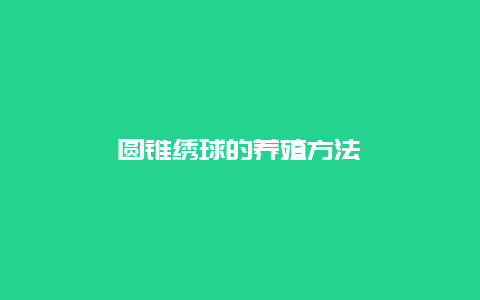 圆锥绣球的养殖方法