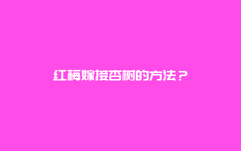 红梅嫁接杏树的方法？