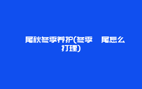 鸢尾秋冬季养护(冬季鸢尾怎么打理)