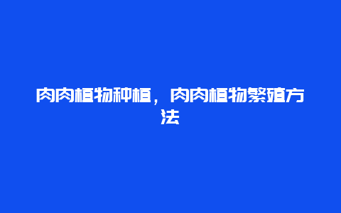 肉肉植物种植，肉肉植物繁殖方法