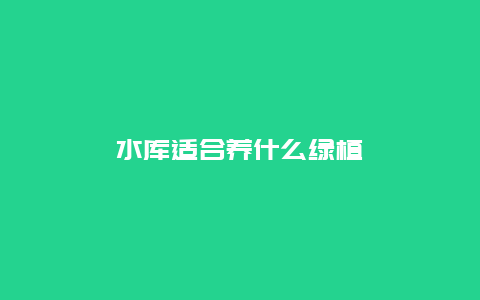 水库适合养什么绿植