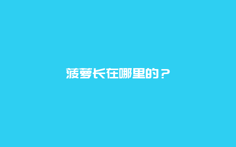 菠萝长在哪里的？