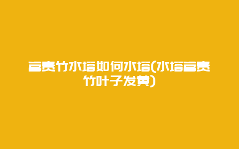 富贵竹水塔如何水塔(水塔富贵竹叶子发黄)