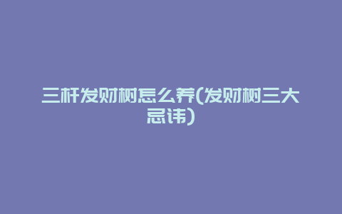 三杆发财树怎么养(发财树三大忌讳)