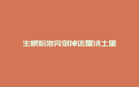 生根粉泡完倒掉还是浇土里