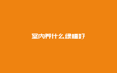 室内养什么绿植好