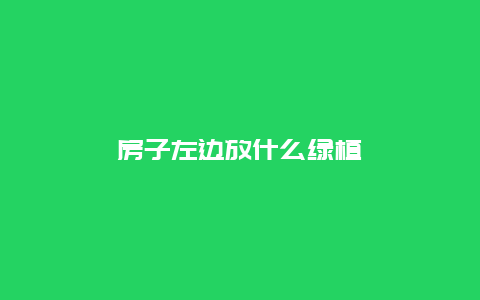 房子左边放什么绿植