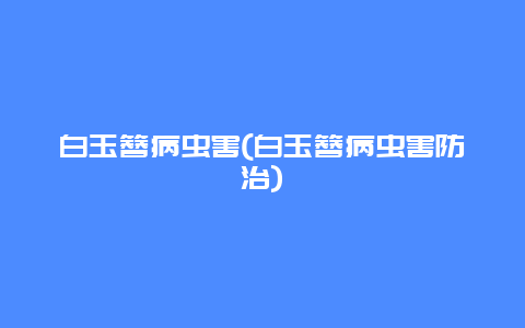 白玉簪病虫害(白玉簪病虫害防治)