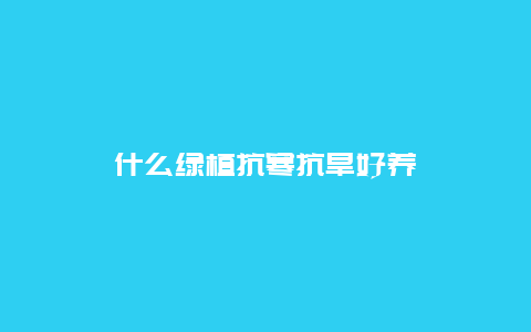 什么绿植抗寒抗旱好养