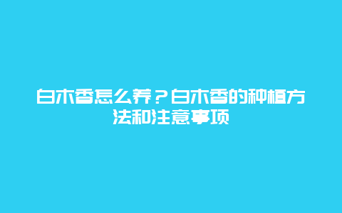 白木香怎么养？白木香的种植方法和注意事项