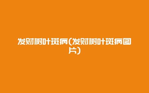 发财树叶斑病(发财树叶斑病图片)