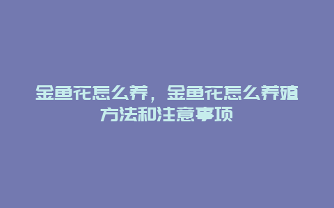 金鱼花怎么养，金鱼花怎么养殖方法和注意事项