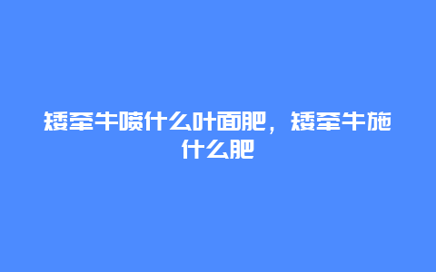 矮牵牛喷什么叶面肥，矮牵牛施什么肥