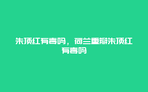 朱顶红有毒吗，荷兰重瓣朱顶红有毒吗