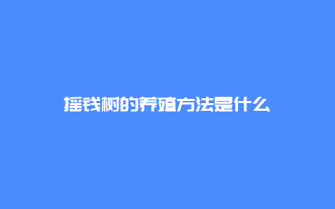 摇钱树的养殖方法是什么