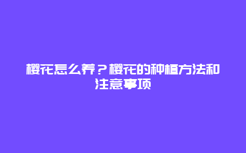 樱花怎么养？樱花的种植方法和注意事项