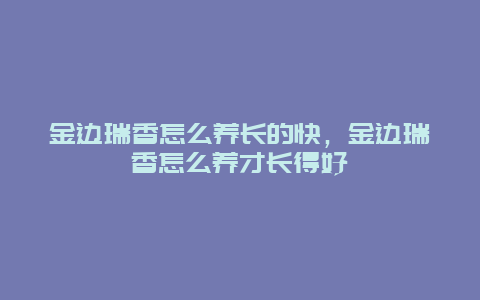 金边瑞香怎么养长的快，金边瑞香怎么养才长得好