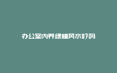 办公室内养绿植风水好吗