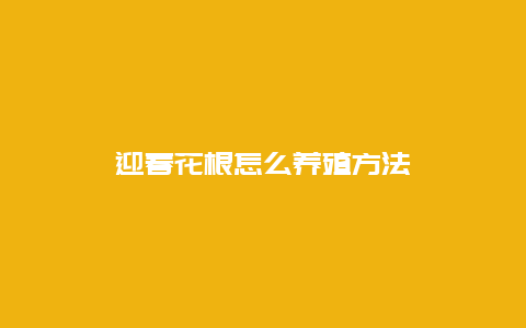 迎春花根怎么养殖方法