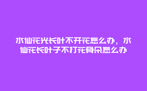 水仙花光长叶不开花怎么办，水仙花长叶子不打花骨朵怎么办