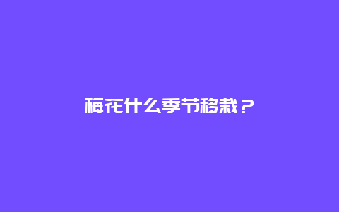 梅花什么季节移栽？