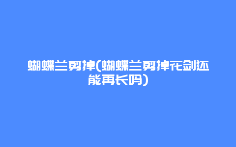 蝴蝶兰剪掉(蝴蝶兰剪掉花剑还能再长吗)