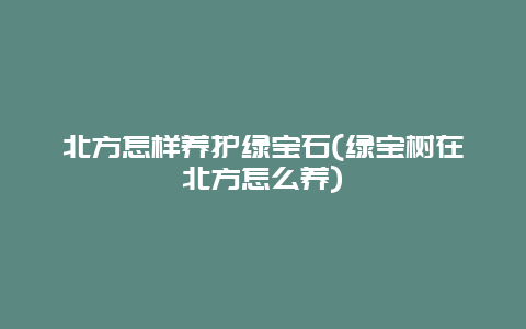 北方怎样养护绿宝石(绿宝树在北方怎么养)