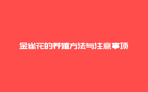 金雀花的养殖方法与注意事项