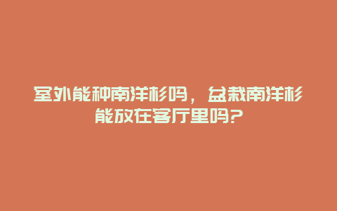 室外能种南洋杉吗，盆栽南洋杉能放在客厅里吗?