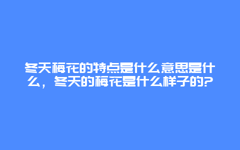 冬天梅花的特点是什么意思是什么，冬天的梅花是什么样子的?