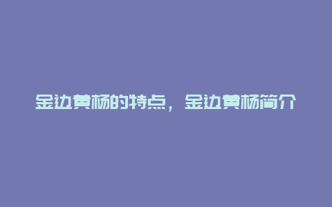 金边黄杨的特点，金边黄杨简介