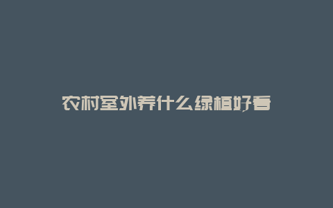 农村室外养什么绿植好看