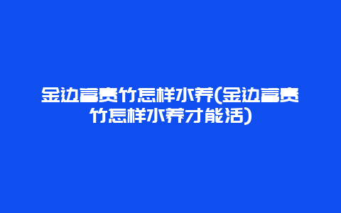 金边富贵竹怎样水养(金边富贵竹怎样水养才能活)