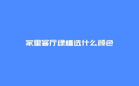 家里客厅绿植选什么颜色