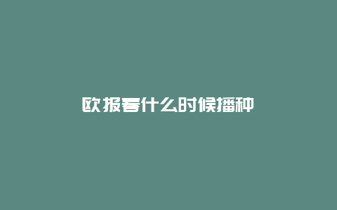 欧报春什么时候播种