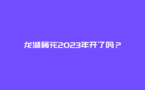 龙湖梅花2023年开了吗？