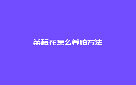 茶梅花怎么养殖方法