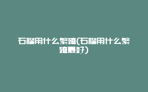 石榴用什么繁殖(石榴用什么繁殖最好)