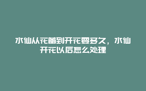 水仙从花蕾到开花要多久，水仙开花以后怎么处理