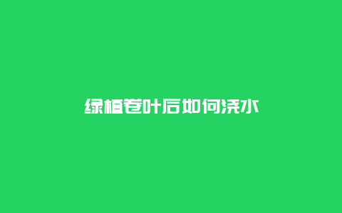 绿植卷叶后如何浇水