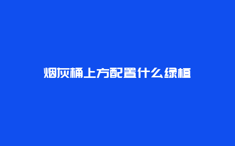 烟灰桶上方配置什么绿植