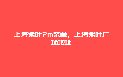 上海紫叶?m浆草，上海紫叶广场地址