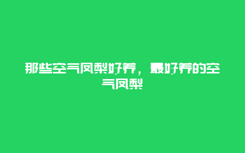 那些空气凤梨好养，最好养的空气凤梨