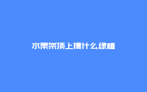 水果架顶上摆什么绿植