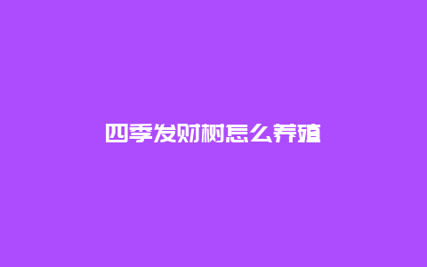 四季发财树怎么养殖